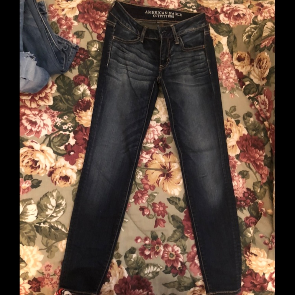 American eagle begging